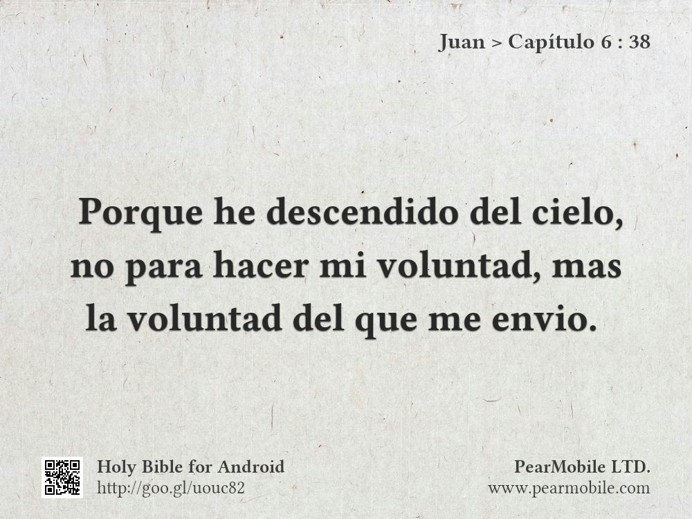 Juan, Capítulo 6:38